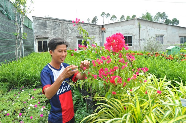 Hoa kiểng khởi nghiệp ảnh 1
