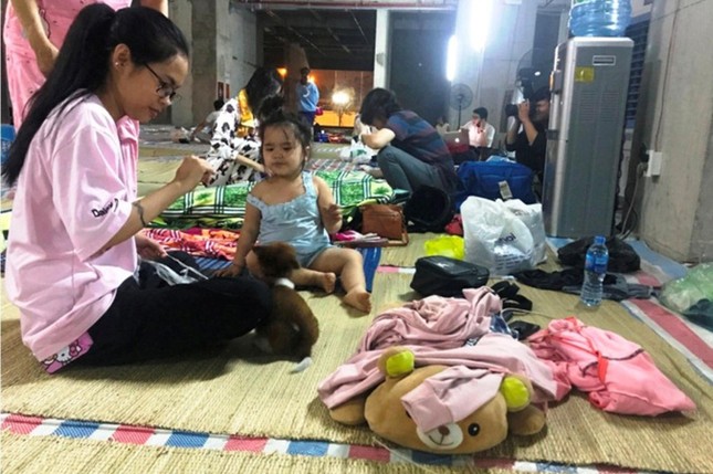 Điều tra, làm rõ trách nhiệm vụ cháy chung cư Carina ảnh 1