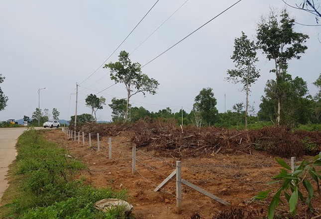Sốt đất chưa từng có ở Phú Quốc ảnh 2