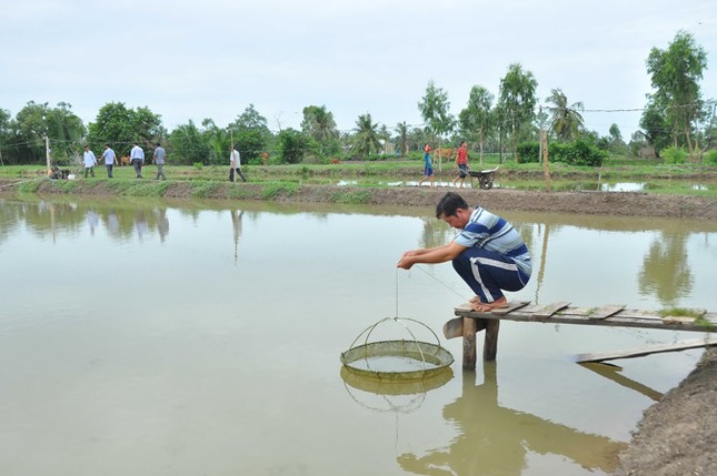 Nghe chuyện thoát nghèo ở quê hương Nam kỳ khởi nghĩa ảnh 1