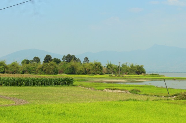 Thám hiểm rừng thiêng ảnh 2