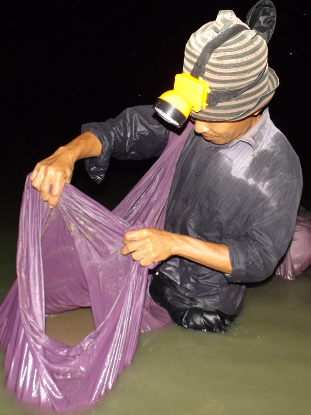 Trôi theo dòng nước ảnh 2