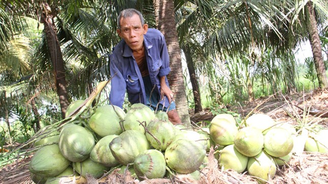 Những mảnh đời lam lũ bên dinh thự nguy nga ảnh 4