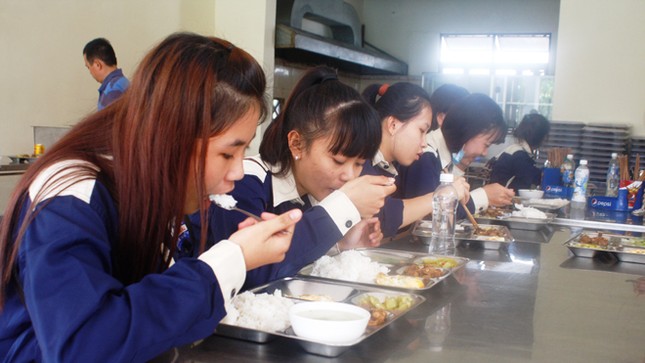 Chuyện “thần kỳ” ở vùng cát bỏng ảnh 2