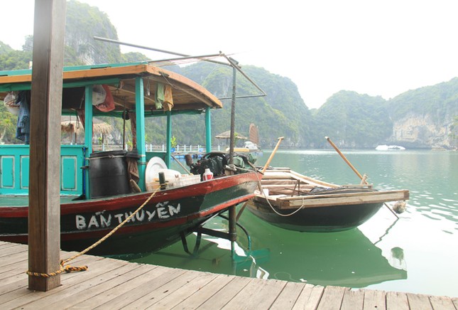 Hạ Long tương phản Kỳ 2: Những kình ngư “mắc cạn” ảnh 2