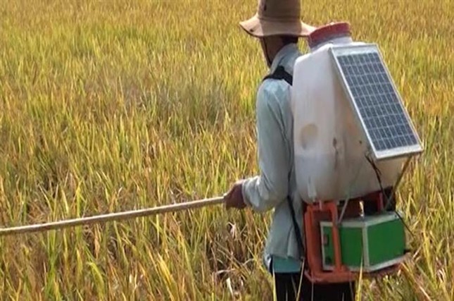 Những “Hai Lúa” trẻ khởi nghiệp ảnh 1