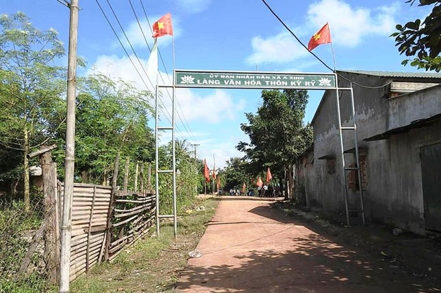Tìm cây chữa thất tình ảnh 2