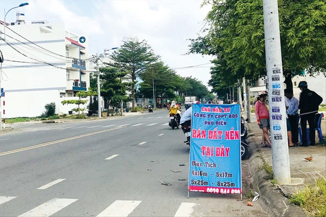 TPHCM lại 'sốt' đất vùng ven ảnh 1