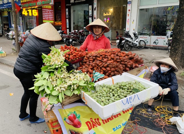 Hà Nội: Hoa quả đặc sản tưởng rẻ hóa đắt, loại đắt giá lại rẻ không tưởng ảnh 3