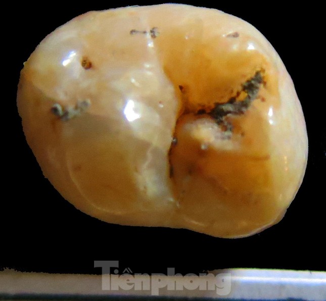 Hé lộ nhiều di cốt người tiền sử trong hang động núi lửa lớn nhất Đông Nam Á ảnh 3