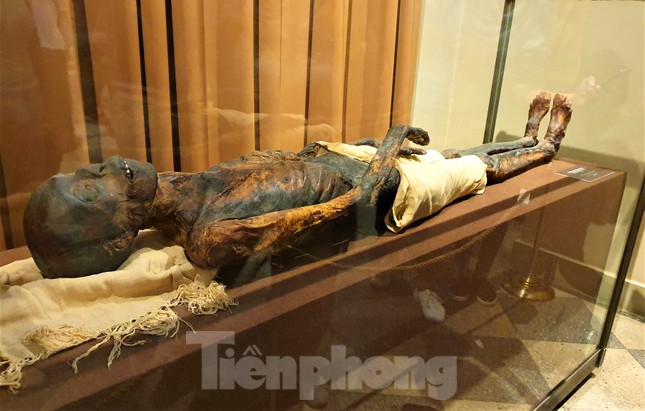 Lạc bước trong Bảo tàng Hermitage diễm lệ ảnh 12