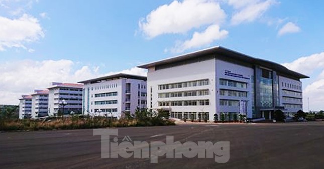 Sở Y tế Đắk Lắk sẽ buộc 10 người dùng bằng giả thôi việc ảnh 2