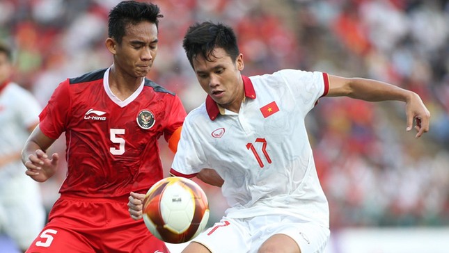 Truyền thông Indonesia chê thể thao Việt Nam: 'Làm vua Đông Nam Á nhưng tí hon ở châu lục' ảnh 1