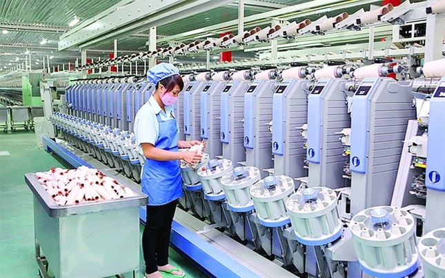 Doanh nghiệp thất vọng vì gói hỗ trợ COVID-19 không giúp được nhiều ảnh 2
