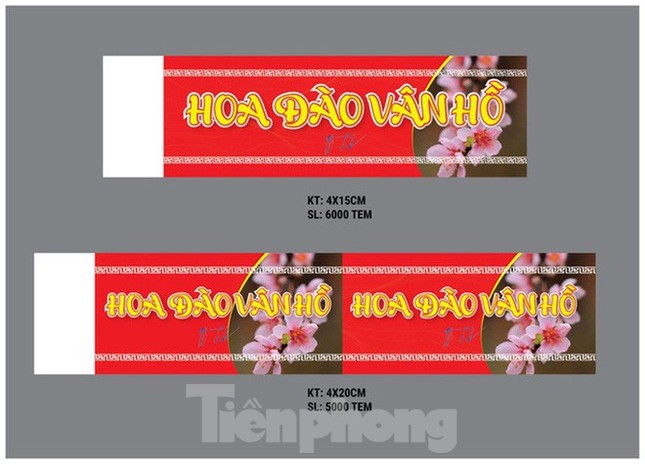 Sơn La nói gì về việc truy xuất nguồn gốc đào rừng khiến hoạt động buôn bán tê liệt? ảnh 3
