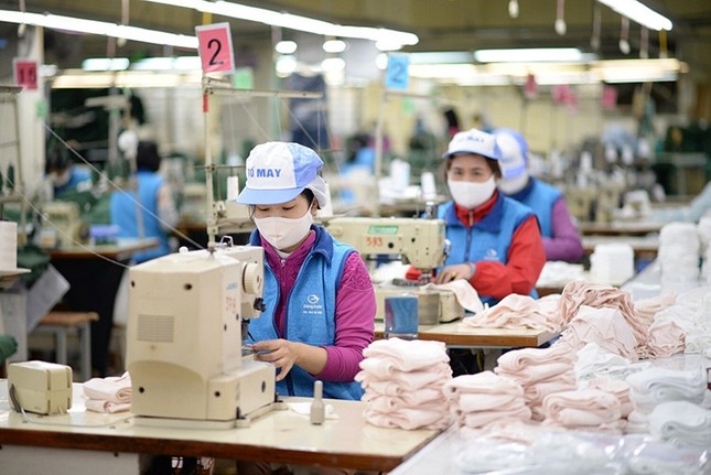 Lý do nhiều mặt hàng xuất khẩu chủ lực của Việt Nam giảm mạnh ảnh 1
