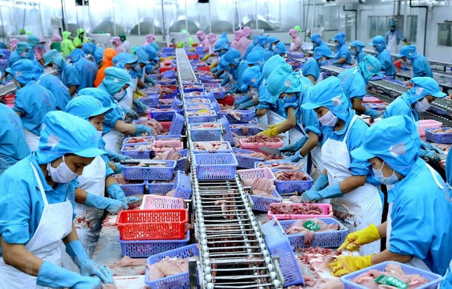 Việt Nam xuất khẩu thủy sản vào Mỹ lớn nhất ảnh 1