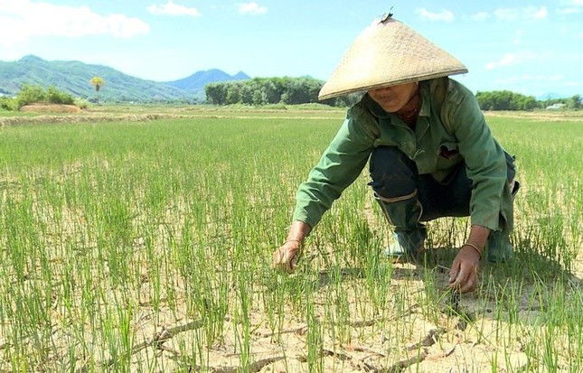 El Nino dự báo gây hạn hán nặng ở hàng loạt tỉnh miền Trung ảnh 1