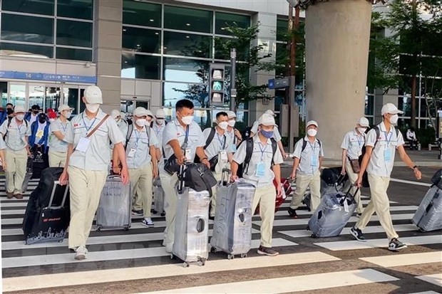 Người Việt lao động 'chui' ở Hàn Quốc tự nguyện về nước được miễn phạt ảnh 1