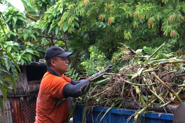 Tố 'đen' chuyên lo chuyện bao đồng ảnh 1
