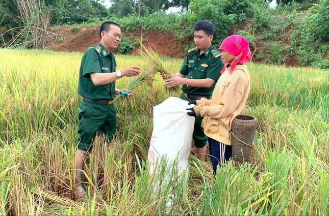 Lính Biên phòng giúp đồng bào thoát nghèo ảnh 1