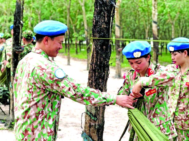 Những sứ giả của hòa bình ảnh 2