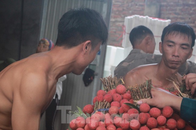 Đời phu vải ảnh 1