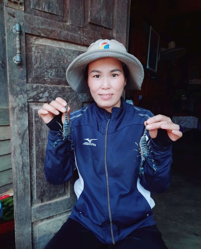 Săn bọ cạp như bắt cào cào ở đại ngàn Tây Nguyên ảnh 1