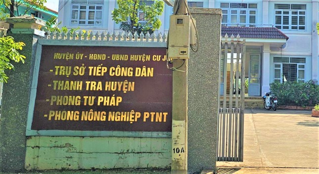 Trộm cây hoa giấy, Trưởng phòng Tư pháp ở Đắk Nông bị kỷ luật ảnh 1