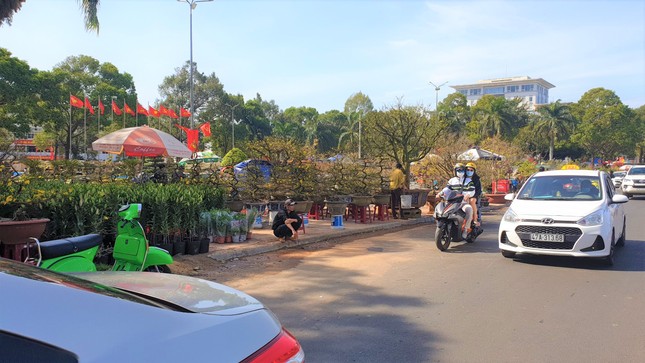 Buôn Ma Thuột: Chợ hoa hắt hiu, tiểu thương lo mất Tết ảnh 6