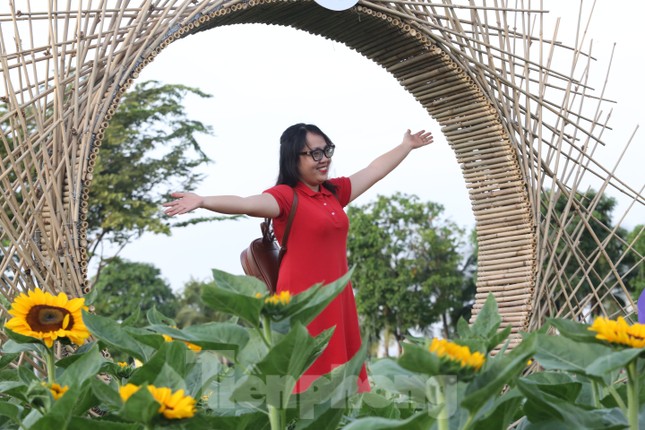 Vườn hướng dương 12.000m2 tại TPHCM thu hút giới trẻ ảnh 8