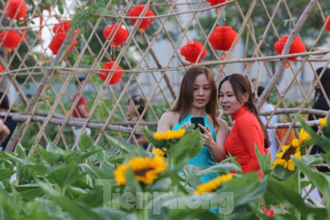 Vườn hướng dương 12.000m2 tại TPHCM thu hút giới trẻ ảnh 3