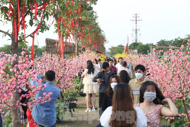 Vườn hướng dương 12.000m2 tại TPHCM thu hút giới trẻ ảnh 7