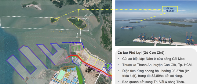TP.HCM bắt đầu triển khai 'siêu cảng' trung chuyển quốc tế hơn 5 tỷ USD - 1