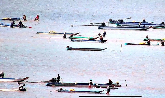 Dòng người khai thác 'lộc trời' ở vùng ven biển Mũi Cà Mau ảnh 1