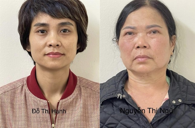 Khởi tố 4 bị can liên quan vụ án ‘thổi giá’ cây xanh ở Hà Nội ảnh 2