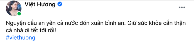 Xuân Bắc, Trấn Thành cùng nghệ sĩ V-biz lan tỏa thông điệp tích cực chống dịch COVID-19 ảnh 6