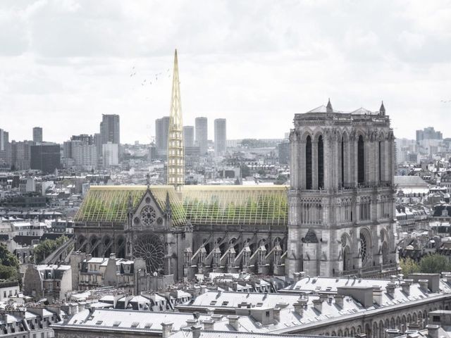 Diện mạo mới của nhà thờ Đức Bà Paris trông như thế nào? ảnh 3