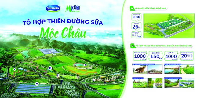 Mộc Châu Milk tự tin vươn xa với những điểm nhấn tự hào ảnh 1