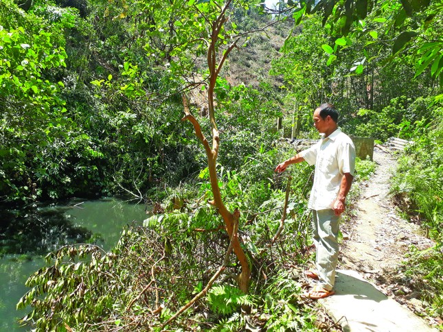 Phận đời sau trang báo ảnh 1