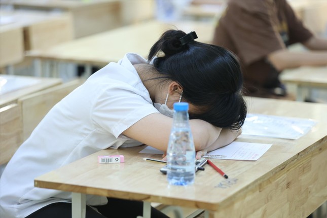 Phụ huynh bối rối khi con không đỗ trường công ảnh 1