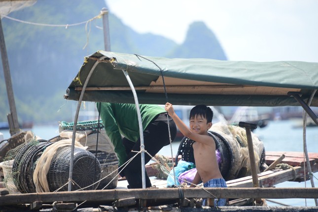 Mắc nợ làng chài ảnh 3