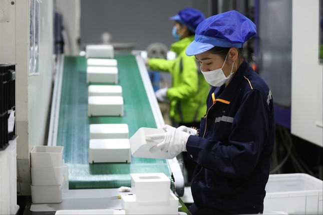 Vốn FDI 'lội' ngược dòng ảnh 1