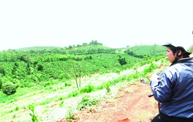 Phanh phui việc biến 'đất công' thành 'đất ông' ảnh 1