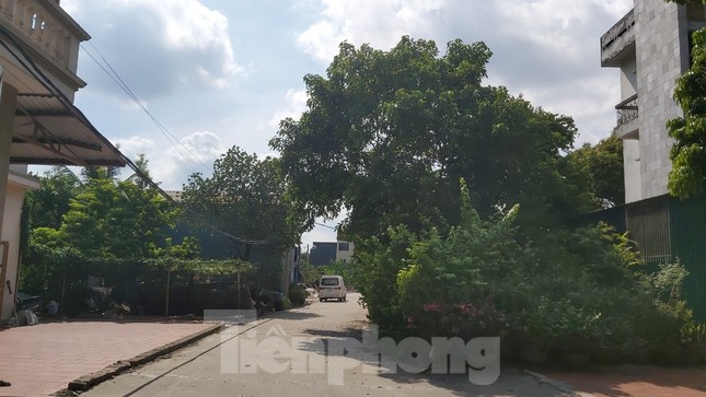 Cưỡng chế khu nhà xưởng 'nhảy dù' xuống ruộng ở ngoại thành Hà Nội ảnh 2