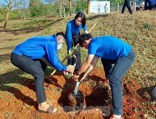  Làm giàu từ bán hoa đào ảnh 6