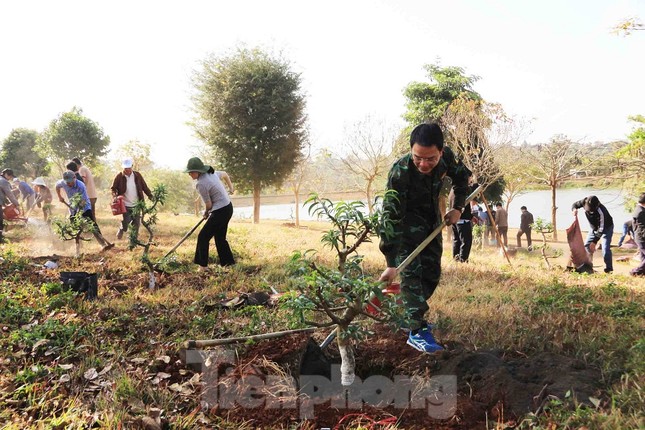  Làm giàu từ bán hoa đào ảnh 3