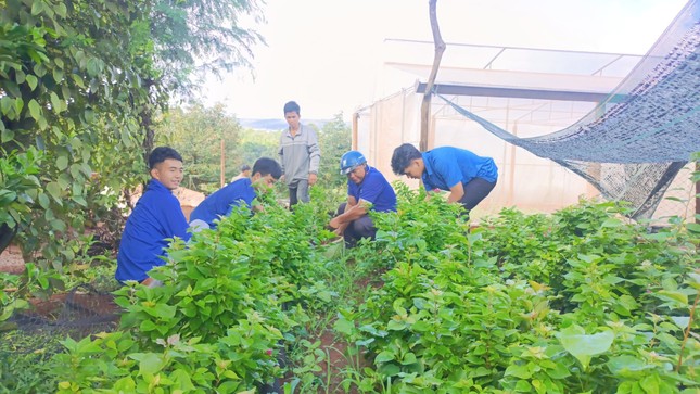 'Áo xanh' Đắk Lắk đến từng nhà phát tờ rơi, tuyên truyền pháp luật ảnh 7