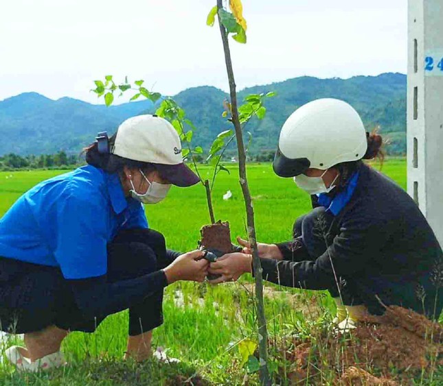Tuổi trẻ Đắk Lắk tô thêm sắc xanh bảo vệ môi trường ảnh 4