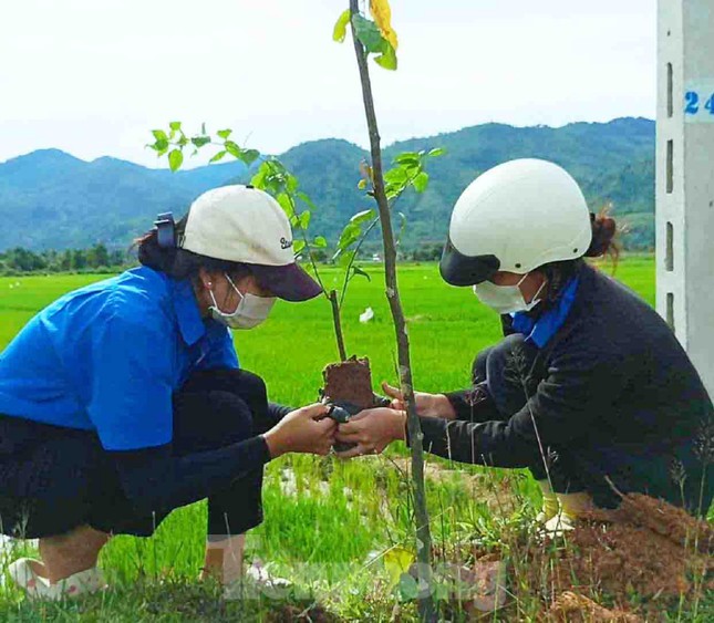 Tuổi trẻ Đắk Lắk tô thêm sắc xanh bảo vệ môi trường ảnh 4